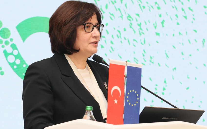 Fatma Varank: Azerbaijan demonstrated very high level of organizing COP29 