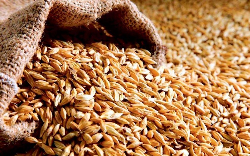 Azerbaijan reduces wheat import expenditure by 21% in 2024