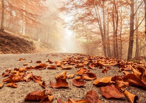 Azerbaijan weather forecast for December 19