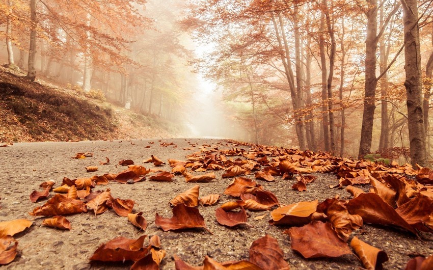 Azerbaijan weather forecast for December 19