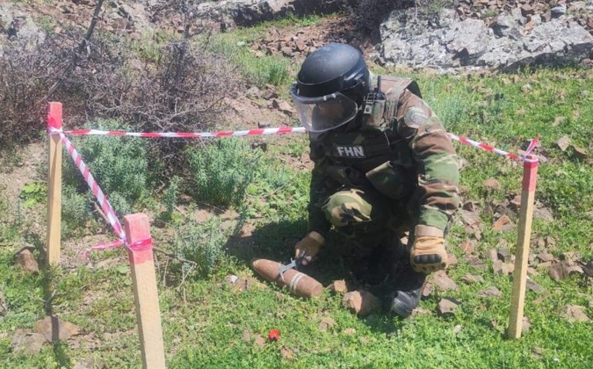 В Товузе и Гарадаге обнаружены пушечные снаряды