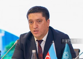 Countries rich in natural resources should lead climate action, Azerbaijan says