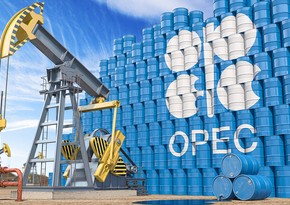 Pərviz Şahbazov OPEC-in baş katibi ilə telefonla danışıb
