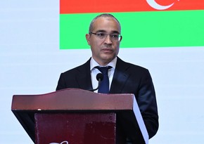 Nazir: Azərbaycan “yaşıl iqtisadiyyat” yolunda irəlilədikcə BƏƏ ilə əlaqələr daha da inkişaf edəcək