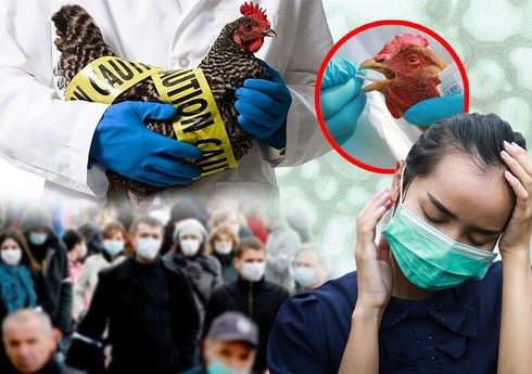 В Испании выявили случай заражения человека птичьим гриппом