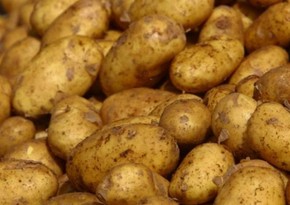 Азербайджан увеличил экспорт картофеля в Россию