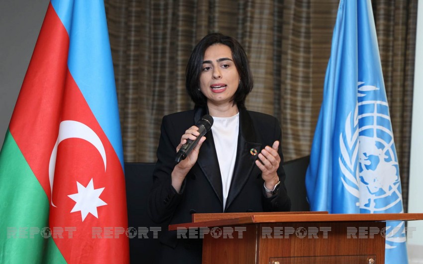 UNDP supports Azerbaijan's work in field of legal services