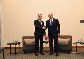 Ceyhun Bayramov Polşada Mövlud Çavuşoğlu ilə görüşüb