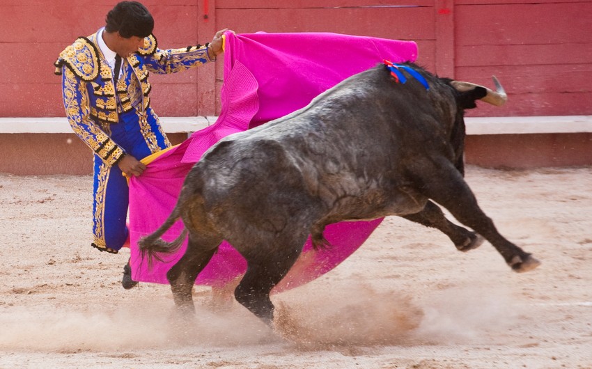 Суд в Мексике ввел повторный запрет на бои быков на крупнейшей в мире арене для корриды