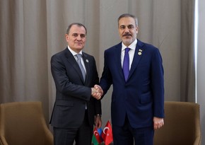 Azerbaijani FM meets with Turkish counterpart in Gambia