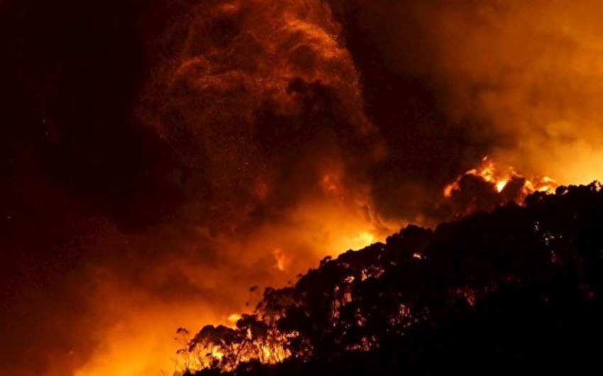 Сотни человек эвакуированы в Австралии из-за угрозы лесных пожаров