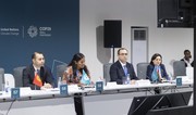 Baku hosts panel discussions on 'From Global Goals to Local Action' as part of COP29