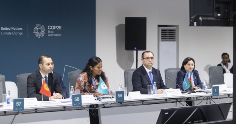 Baku hosts panel discussions on 'From Global Goals to Local Action' as part of COP29