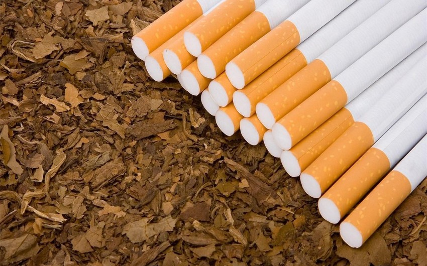 Azərbaycana bu il tütün məmulatlarının idxalı 29 % azalıb