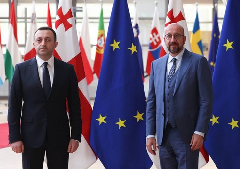 В Брюсселе обсудили вопрос членства Грузии в ЕС