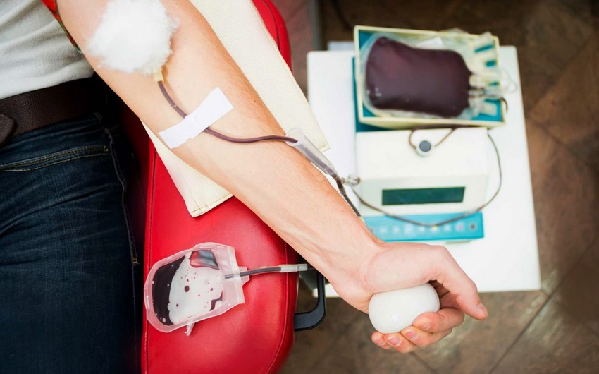 TƏBİB снова обратился к донорам крови