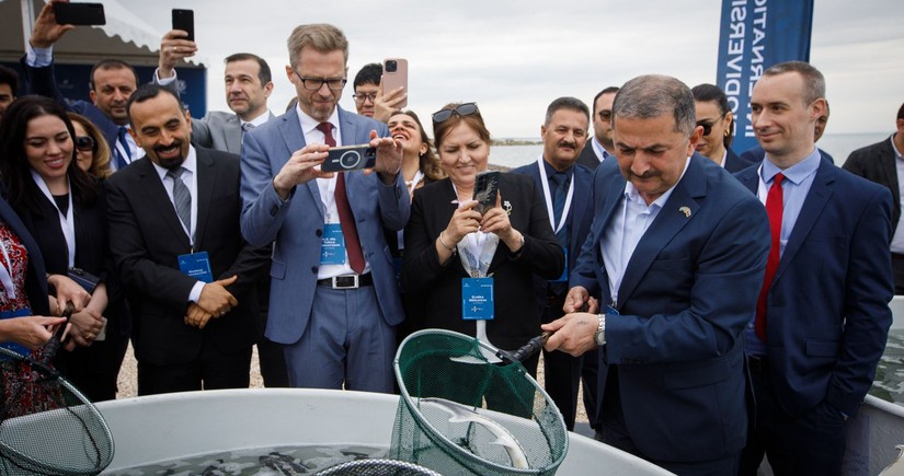 50,000 sturgeon released into the Caspian Sea by Azerbaijan fish farm to mark International Day for Biological Diversity