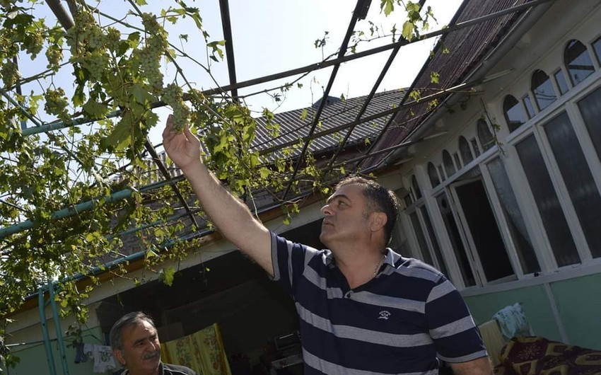 Gürcüstanda güclü dolu azərbaycanlıların yaşadığı kəndlərə ciddi ziyan vurub