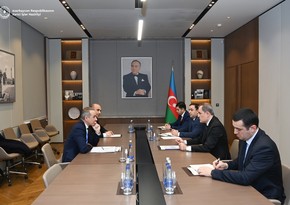 Azərbaycan və ATƏT arasında COP29 çərçivəsində əməkdaşlıq perspektivləri müzakirə olunub