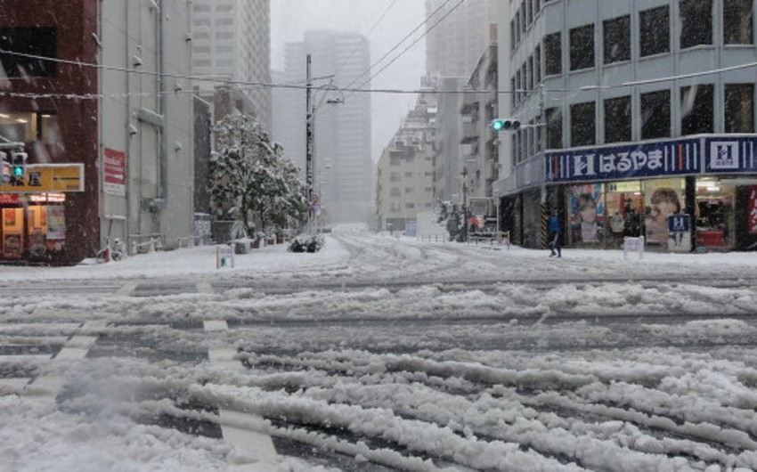 ​В Японии из-за снегопадов погибли пять человек