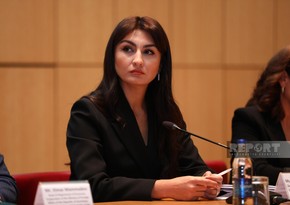 Tax official: Mechanisms for carbon tax refunds should be developed in Azerbaijan