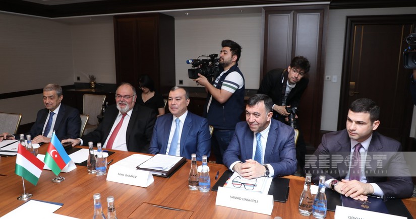 Замминистра экономики : Венгерские компании активны в Азербайджане
