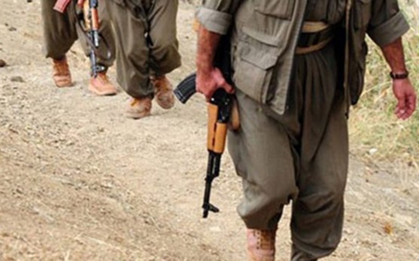 PKK terrorçuları Türkiyənin iki vilayətində təhlükəsizlik qüvvələrinə hücum edib