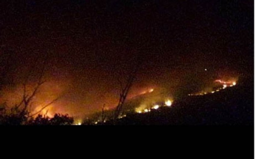 В горной местности Азербайджана горит лесной массив - ФОТО