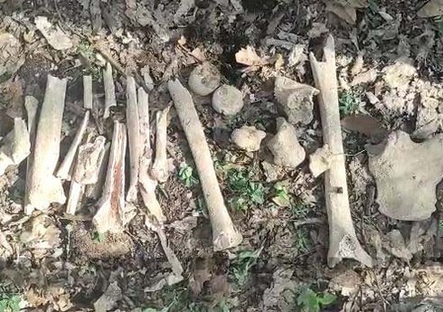 В селе Фаррух обнаружены останки еще нескольких азербайджанцев