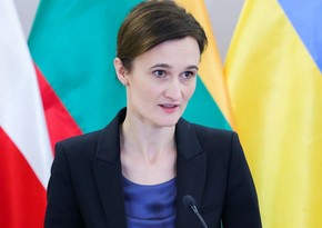 Litva Seyminin sədri: “NATO ölkələrinin parlamentləri Ukraynanı Alyansın üzvləri sırasında görür”