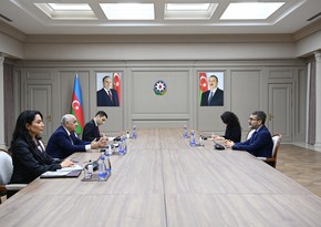 Azerbaijan's PM meets with Chairman of Human Rights and Equality Institution of Türkiye