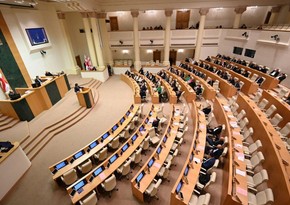 Парламент Грузии 10-го созыва завершил работу за месяц до выборов