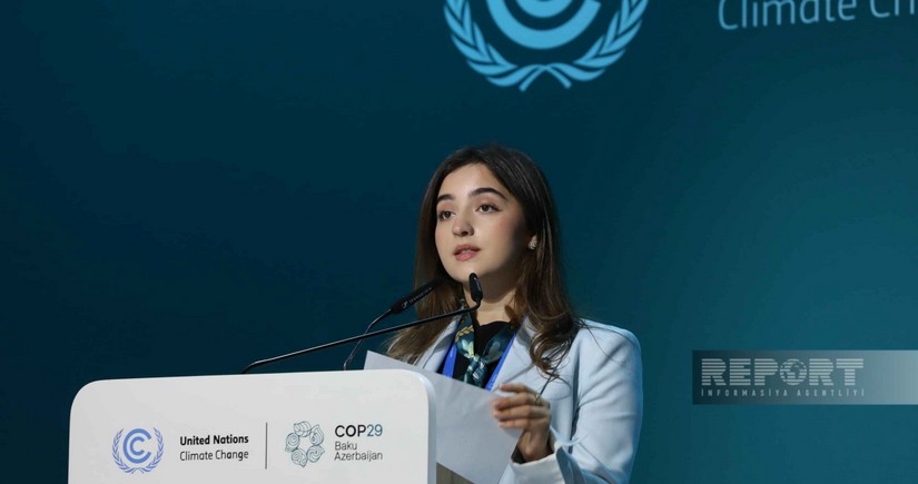 COP29 Youth Climate Champion says youth is the driving force of climate action