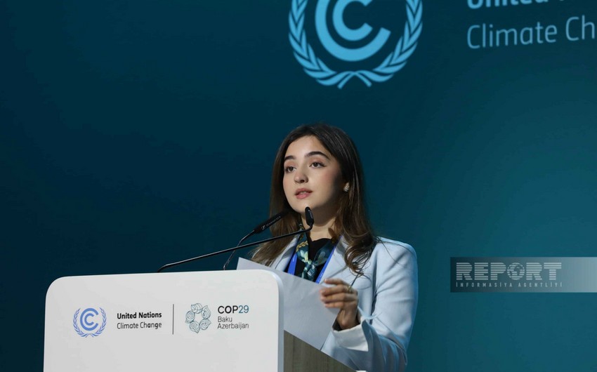 COP29 Youth Climate Champion says youth is the driving force of climate action