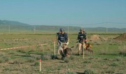 UNDP releases scenes from short film about mine detection dogs in Karabakh