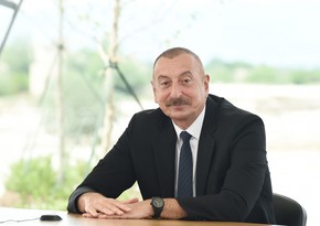 Президенту Азербайджана был представлен генеральный план Кяльбаджара