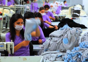 Азербайджан может стать поставщиком текстильного сырья в Россию