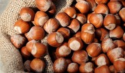 Azerbaijan posts over $70M income from hazelnut exports