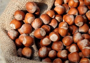 Azerbaijan posts over $70M income from hazelnut exports