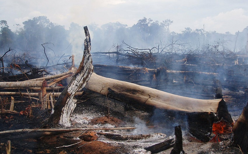 Число пожаров в Бразилии за два дня увеличилось больше чем на 1,5 тысячи