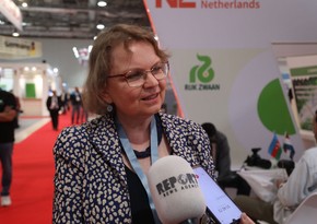 Areas of interest of Dutch companies in Azerbaijan announced