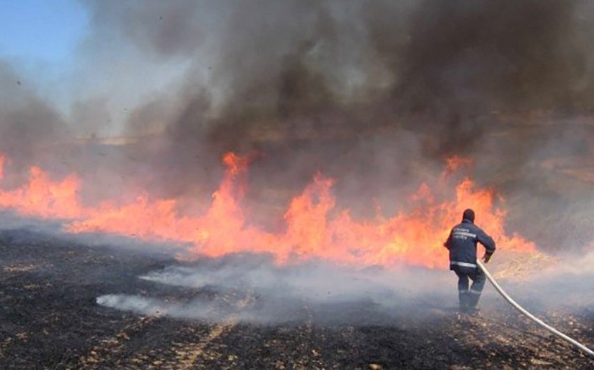 Потушен пожар на зерновом поле в Агстафе - ДОПОЛНЕНО