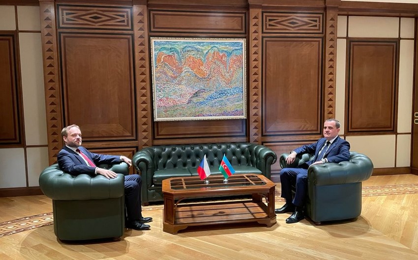 Глава МИД: Азербайджан придает большое значение сотрудничеству с Чехией