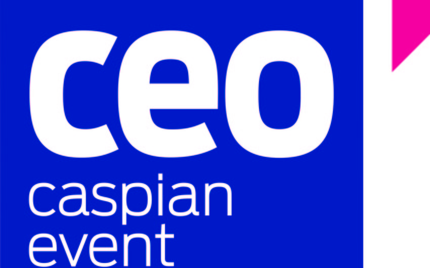 CEO reports on organization of events and conferences in 2015