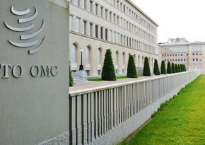 ВТО отложила первую за 4 года министерскую конференцию из-за пандемии
