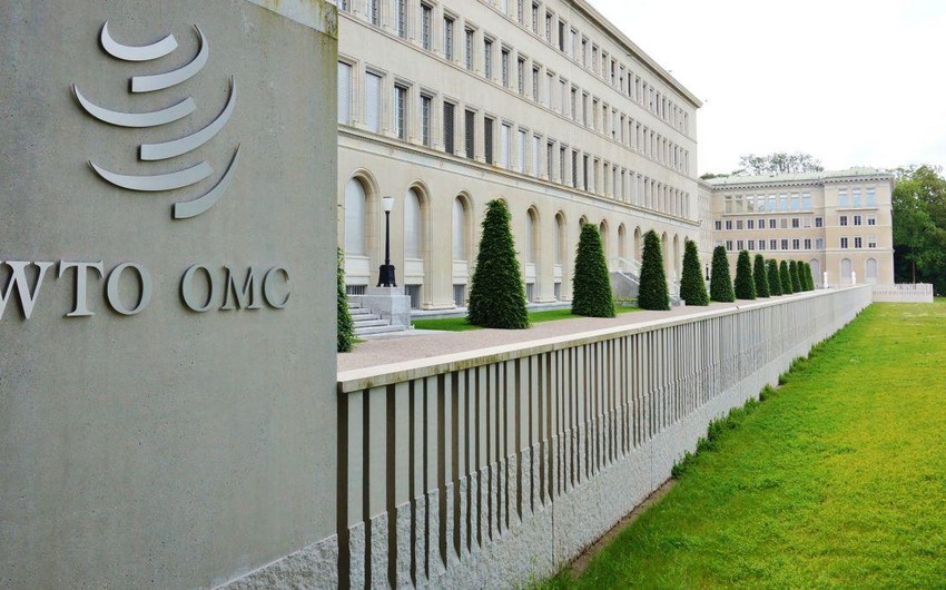 ВТО отложила первую за 4 года министерскую конференцию из-за пандемии