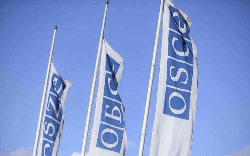 OSCE concerned about violence against journalists in US