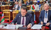 Azerbaijan's deputy FM represents nation at 50th OIC Foreign Ministers Council Session in Cameroon