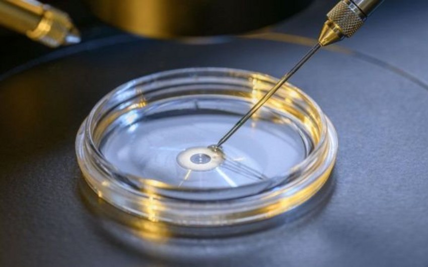 İnsan embrionunda ilk dəfə beta-talassemiyanın inkişafına səbəb olan DNT mutasiyasının korreksiyası həyata keçirilib