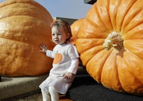 U.S. farmer wins giant pumpkin contest with $12,000